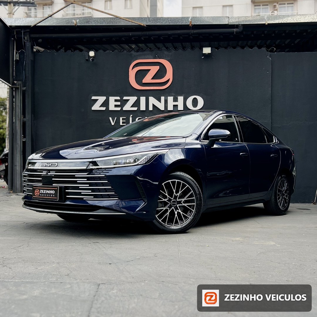 BYD KING